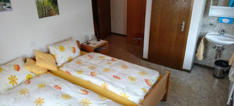 奥克森宾馆(Gasthaus Zum Ochsen)图片