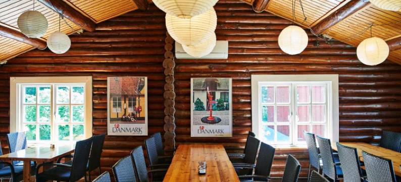 斯坎讷堡丹恩旅馆(Danhostel Skanderborg)图片