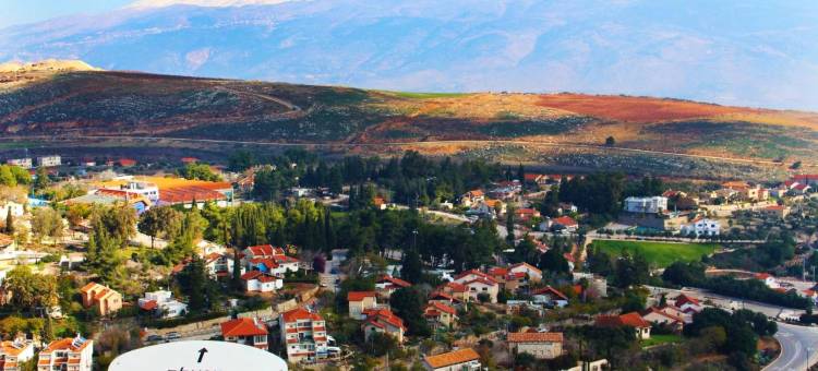 梅图拉旅游酒店(Metulla Travel Hotel)图片