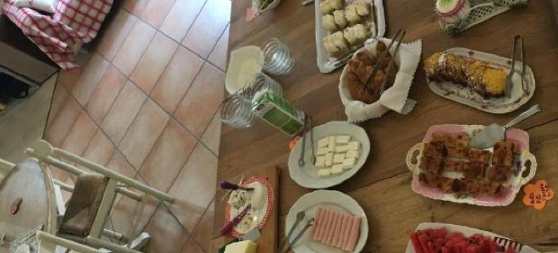 柯迪马诺斯费拉养生度假屋中心酒店(Ktima Noosfera Wellness & Retreat Center)图片