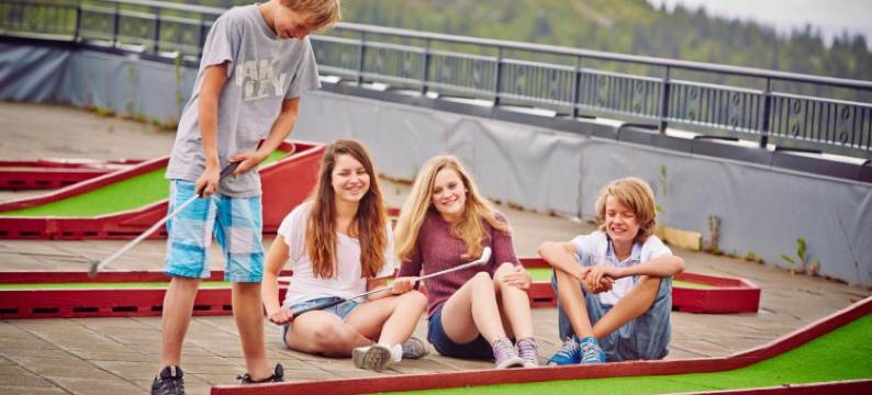 斯托耶尔度假村酒店(Storefjell Resort Hotel)图片