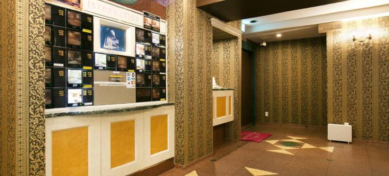 Luna饭店樱之宫店(Hotel Luna Sakuranomiya (Adult Only))图片