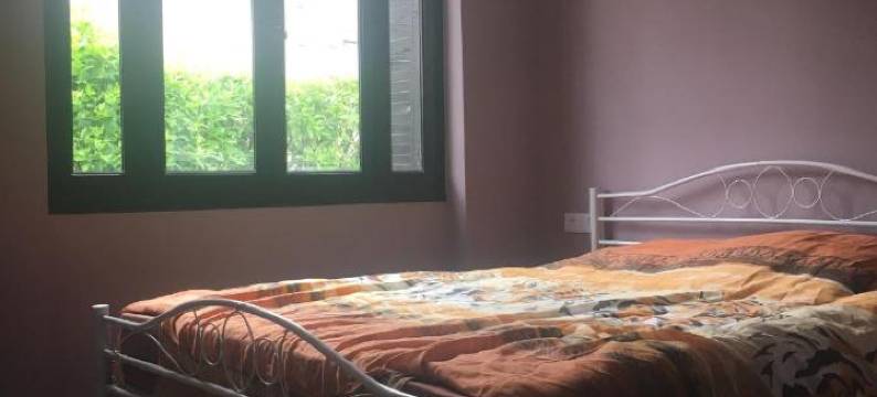 小比利时人(Le Petit Belge)图片