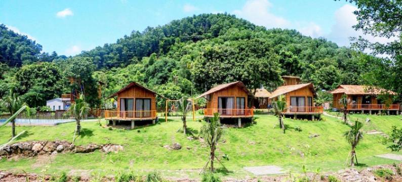 Little Bee House图片