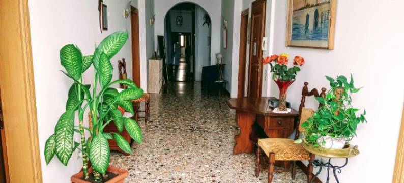 卡萨法瓦莱托旅馆(Casa Favaretto Guest House)图片