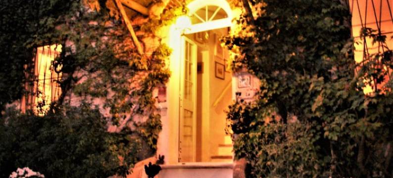 拉揣维尔斯纳酒店(La Traversina)图片