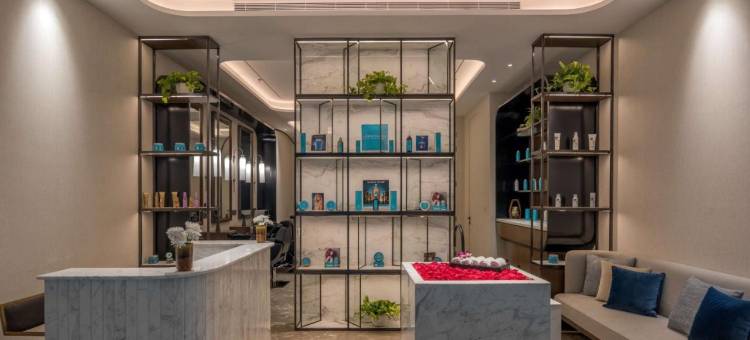 纳西克丽笙酒店及水疗中心(Radisson Blu Hotel & Spa, Nashik)图片