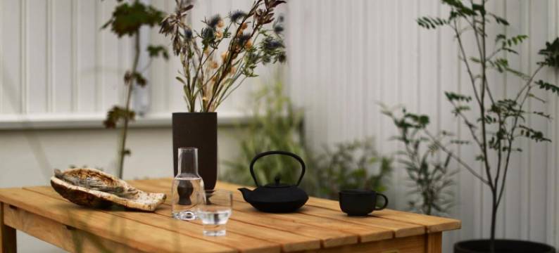 希斯洛旅馆(Hótel Karólína)图片