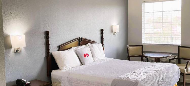 常青旅馆(Evergreen Inn)图片