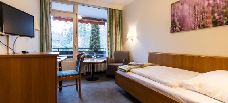 阿斯科纳维塔尔酒店(VitalHotel Ascona)图片