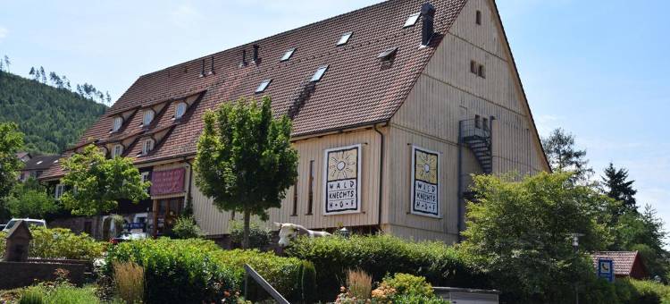 沃尔德内斯霍夫酒店(Gutshof-Hotel Waldknechtshof)图片