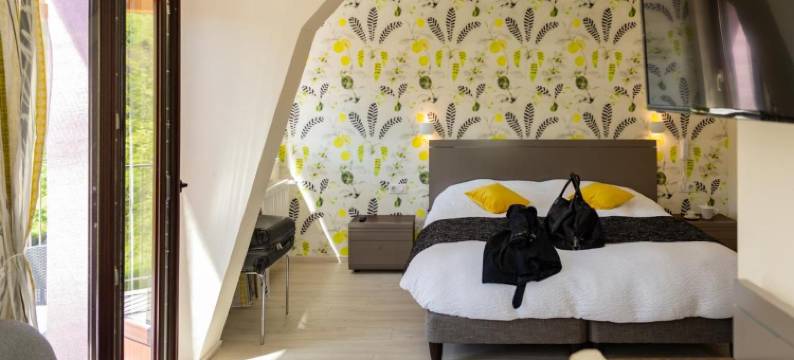 孚日之家酒店(Logis Hotel des Vosges)图片