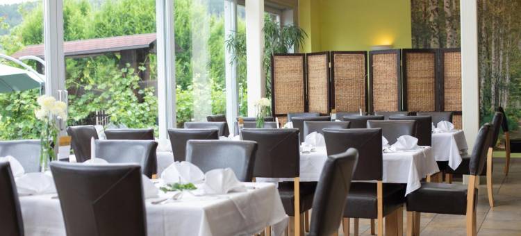 金鹿酒店(Hotel Zum Goldenen Hirschen)图片