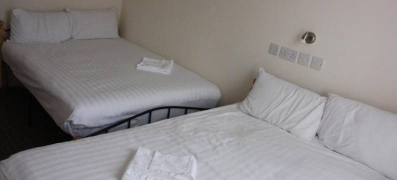 雏菊酒店(Daisy Hotel)图片