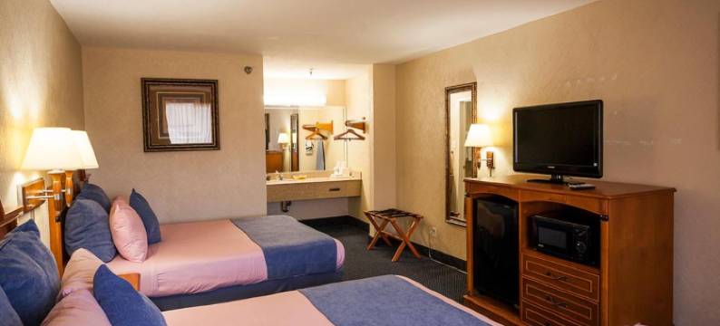 市中心霍比套房酒店(Downtowner Inn and Suites - Houston)图片