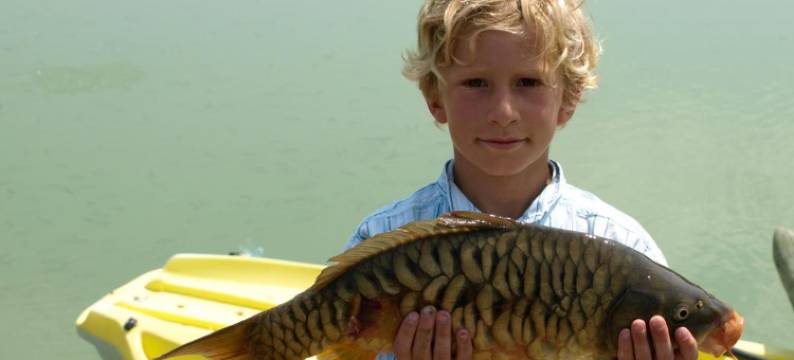 伊斯卡帕地区酒店(Domaine d'Escapa)图片