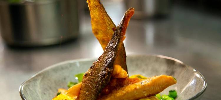 杜卡那德餐厅酒店(Logis - Hôtel Restaurant du Canard)图片