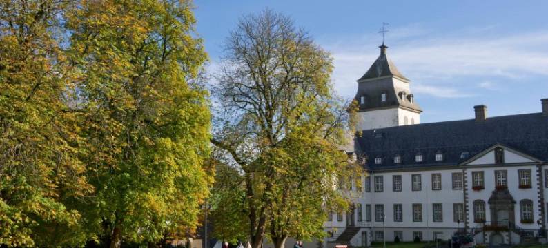 苏尔地阿尔平酒店(Sauerland Alpin Hotel)图片
