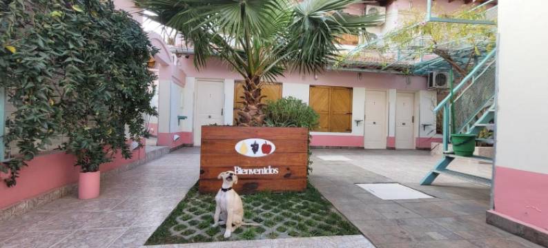 太阳复合式公寓酒店(Complejo Solar Apart)图片