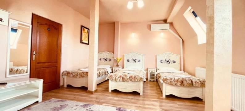 雷岗诺布咔内酒店(Leaganul Bucovinei Guest House)图片