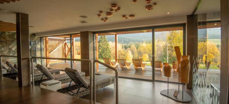 安美尼庭酒店及度假村奥利凯山丘(Amenity Hotel & Resort Orlické Hory)图片