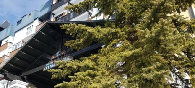 肯尼亚内华达酒店(Hotel Kenia Nevada)图片