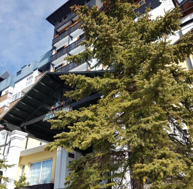 Hotel Kenia NevadaOver view