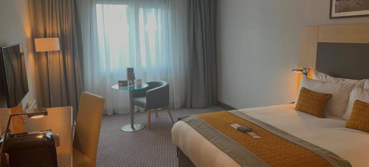 纽兰克罗斯马尔丹酒店(Maldron Hotel, Newlands Cross)图片