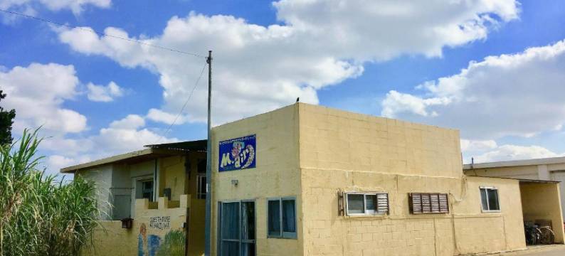 宫古岛旅馆(Guest House Miyakojima)图片