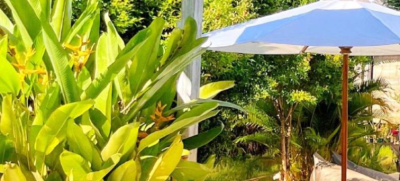 可口可乐村吉利空气旅馆(Omala Village Gili Air)图片