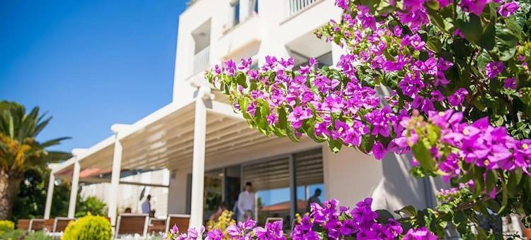 白海家庭旅馆精品酒店(Hotel Casa del Mare - Blanche)图片