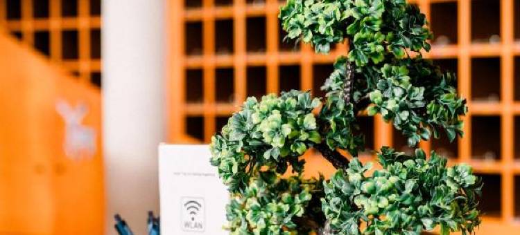 奥格斯堡达兴-旅程旅馆(TRIP INN Dasing-Augsburg)图片