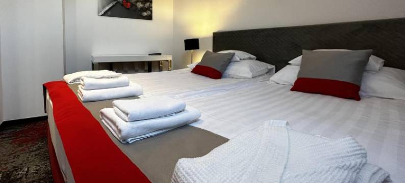 里格特健康和会议酒店(Liget Wellness és Konferencia Hotel)图片