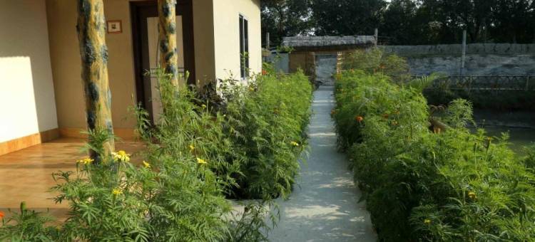 独居的巴诺(Solitary Nook)图片