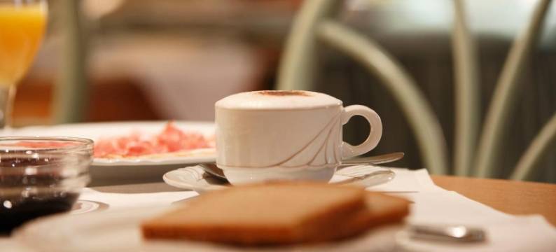 维尔罗温酒店(Vier Löwen)图片