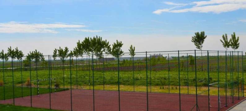 Pensiunea Georgia图片