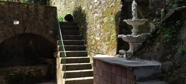 卢凯西别墅旅馆(Villa Lucchesi)图片