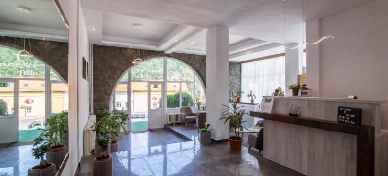 乌苏尔内格鲁别墅(Vila Ursul Negru)图片