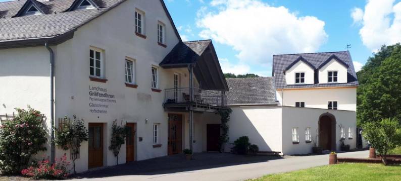 公寓式酒店(Landhaus Gräfendhron)图片