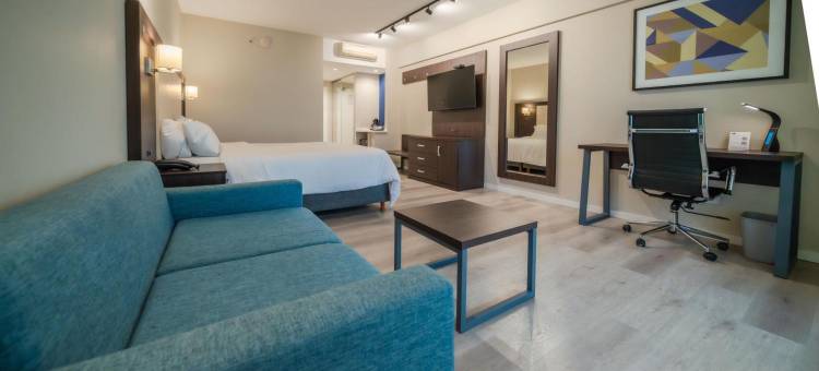 Holiday Inn Express 罗萨里奥(Holiday Inn Express ROSARIO by IHG)图片