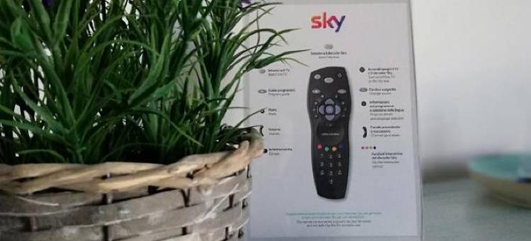 蓝月亮酒店(Blue Moon Hotel)图片