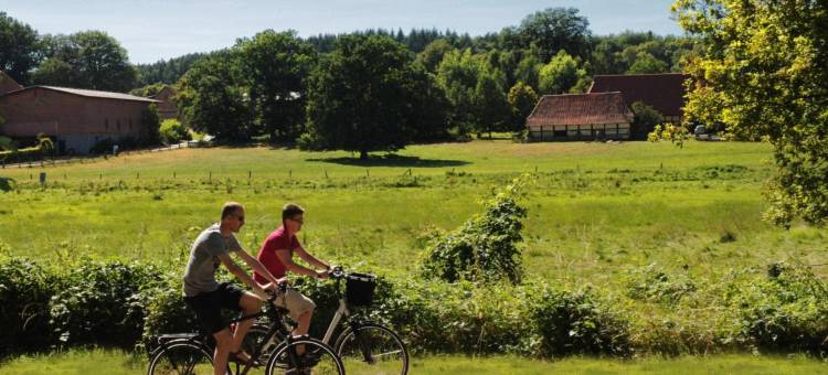 马瑞-路易斯潘森酒店(Hotel Pension Marie-Luise, Hotel Garni)图片