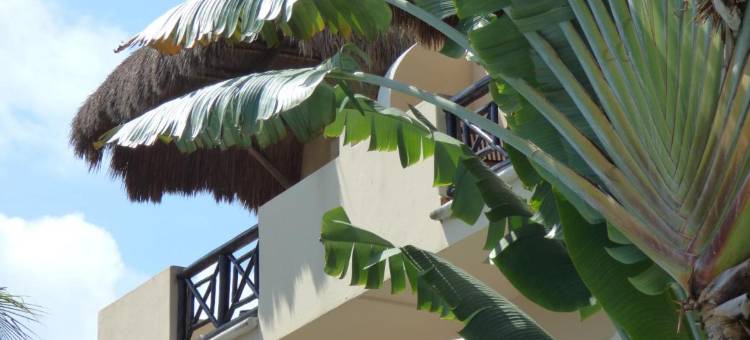 太阳海滨酒店(Hotel Riviera Del Sol)图片