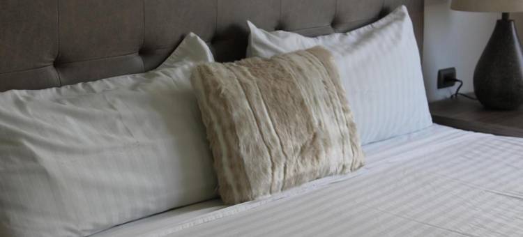 黛安娜公主酒店(Hotel Diana Princess)图片