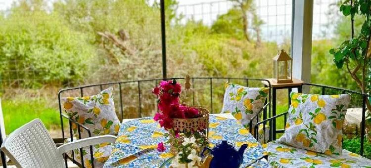 茵穆佩尔酒店(Hotel Imperial)图片