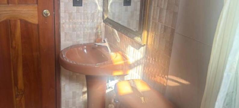 Casa de Quincha图片