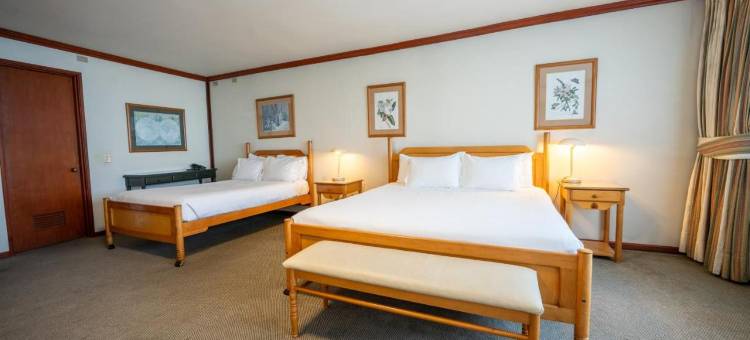 蒙特港阿巴总统套房公寓酒店(Abba Presidente Suites Puerto Montt)图片