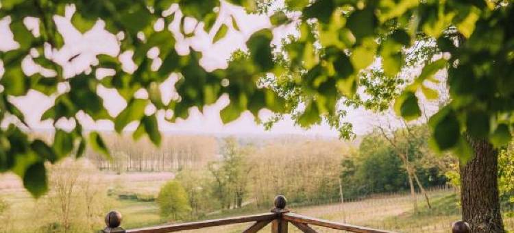 温利多里克酒店(Winny Dworek)图片