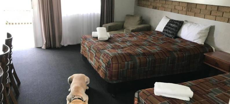 真蓝汽车旅馆(True Blue Motor Inn)图片