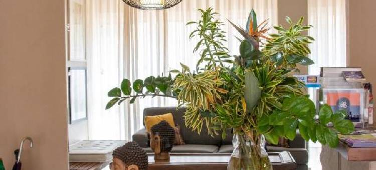 利里奥阿瓜酒店(Lirio d'Água Hotel)图片